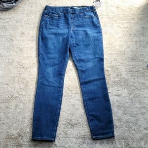 High Rise Pull-On Skinny Jean - Land's End, Sz 10